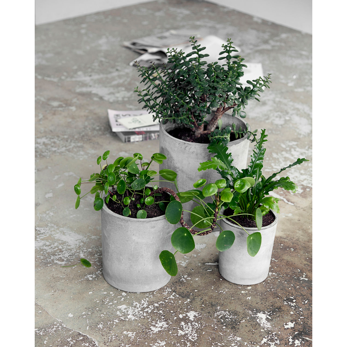 Pote de Herb Doctor House, Ave, cinza claro-s:, H: 22 cm, dia: 18,5 cm, m :, h: 27 cm, dia: 24 cm, l :, h: