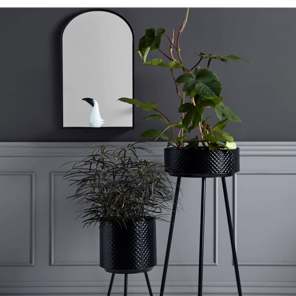 Nordal - plantas de metal indianas m preto