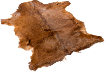 GOATSKIN | Cabelo curto | Tibete | 90x60 cm