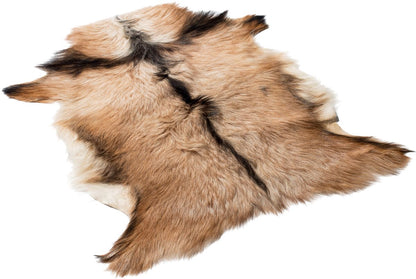 GOATSKIN | Cabelo curto | Tibete | 90x60 cm