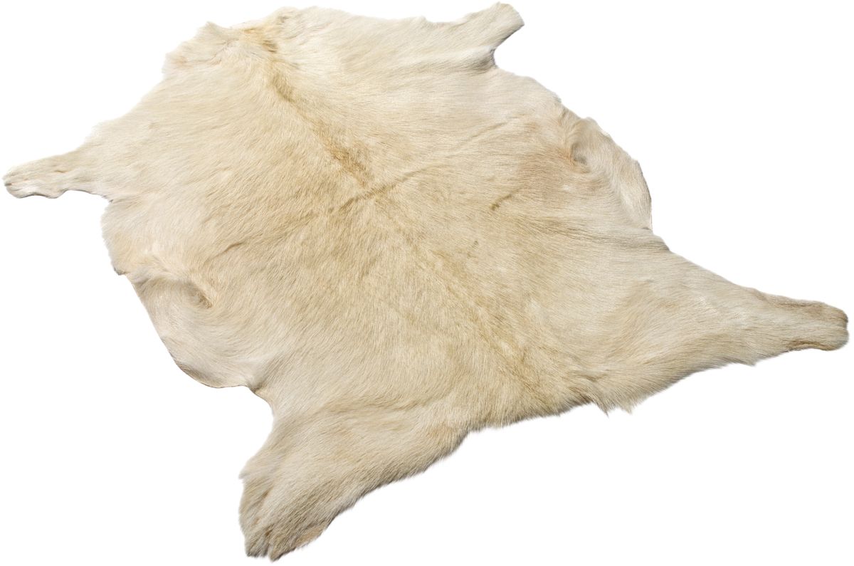 GOATSKIN | Cabelo curto | Tibete | 90x60 cm