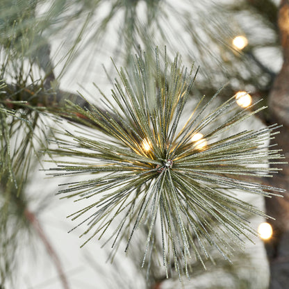 Árvore de Natal com LED, Hdpeuce, Natureza